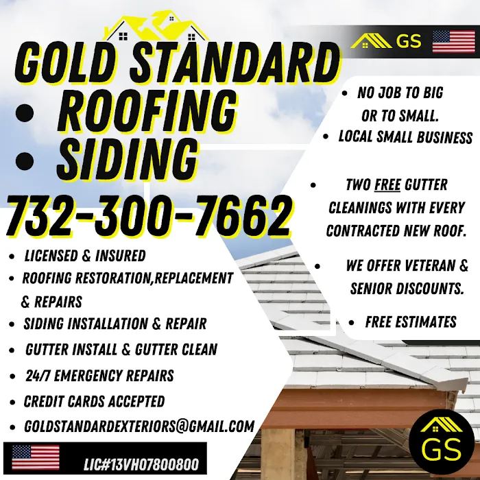 Gold Standard Exteriors Picture 4