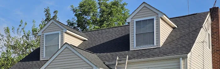 Dannucci Roofing Co Picture 1