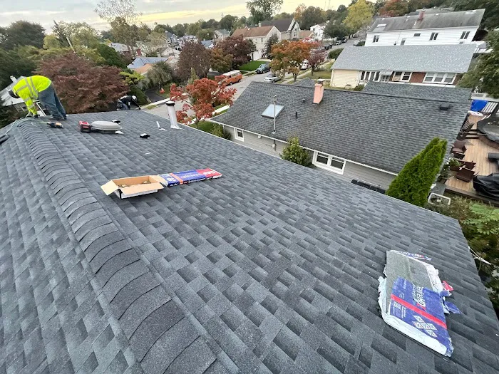 Roofing & Chimney Omega Quality Picture 5
