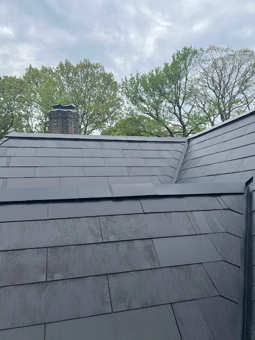 HOGAN ROOF Picture 2