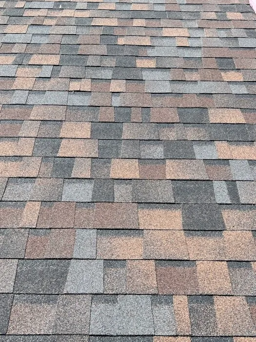 HOGAN ROOF Picture 8