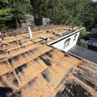 Roof patchers LLC ico