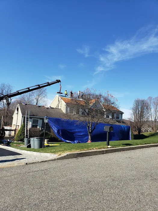 Solution Roofing & Painting Picture 2