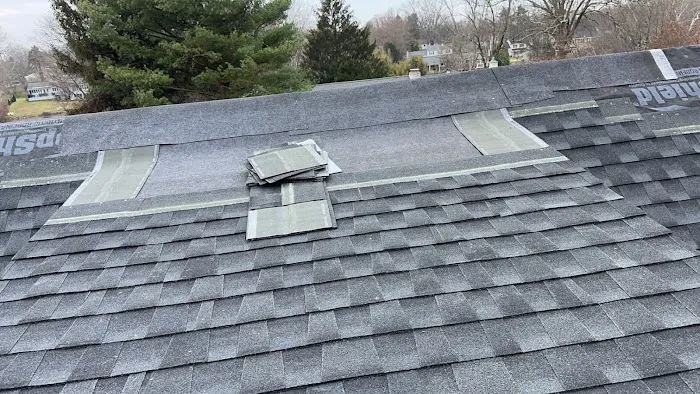 JT COIA Roofing Siding Gutters Picture 7