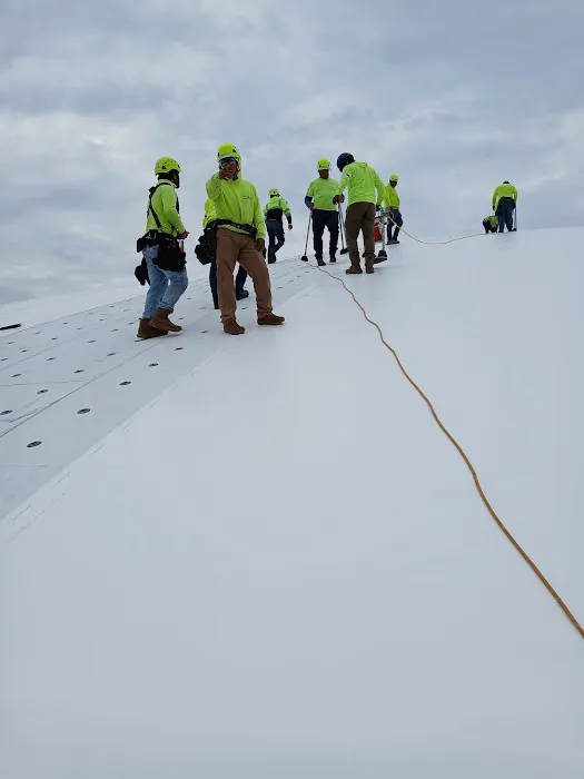 White Vista LLC Picture 5