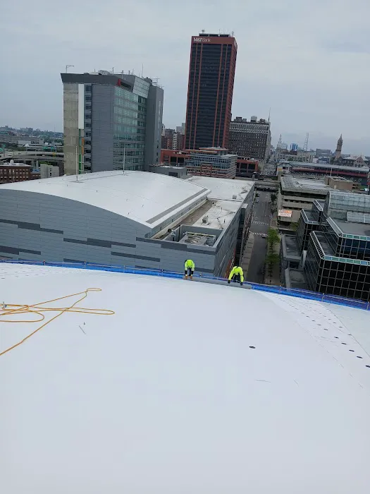 White Vista LLC Picture 4