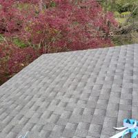 Titan Property Masters, Inc ico