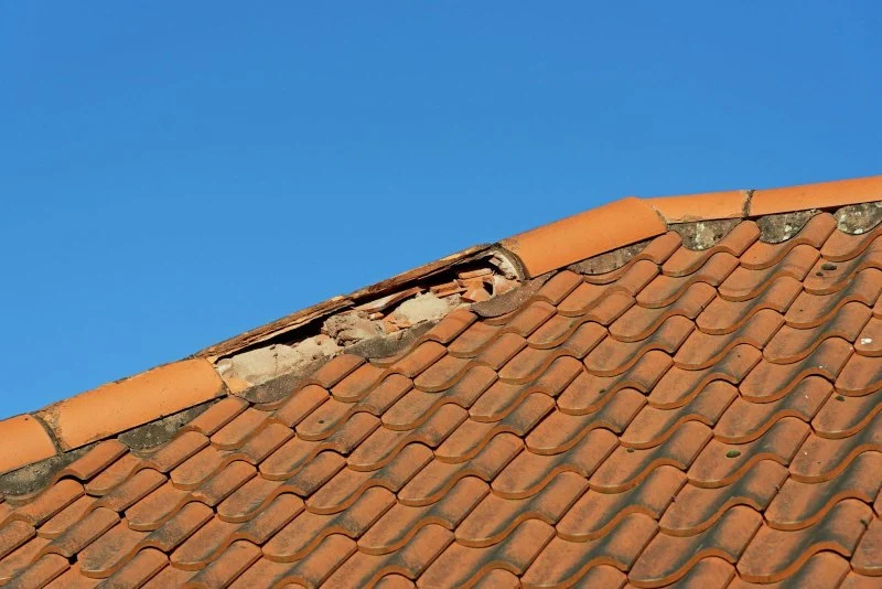How to Spot Early Signs of Roof Damage Before It’s Too Late