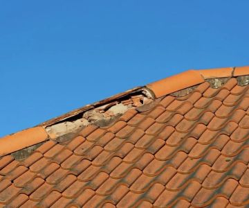 How to Spot Early Signs of Roof Damage Before It’s Too Late