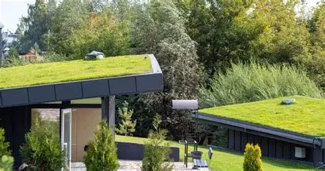 Green Roofing Solutions for Sustainable Homes in the U.S.
