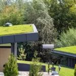 Green Roofing Solutions for Sustainable Homes in the U.S.