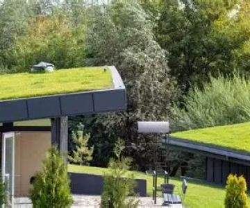 Green Roofing Solutions for Sustainable Homes in the U.S.