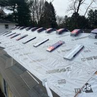 Elio's Construction ico