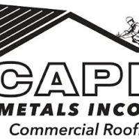 Capital Metals Inc ico