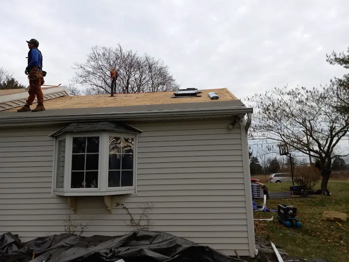 Oscar Construction Picture 3