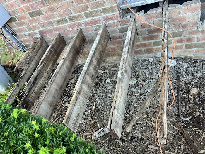 Oscar Construction Picture 6