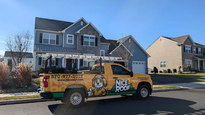 Nice Roof Co. Picture 1