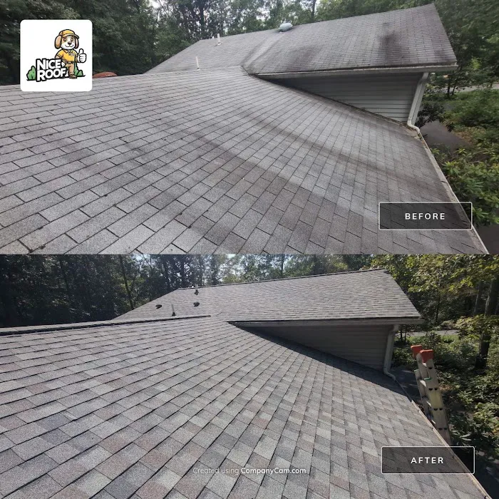 Nice Roof Co. Picture 8