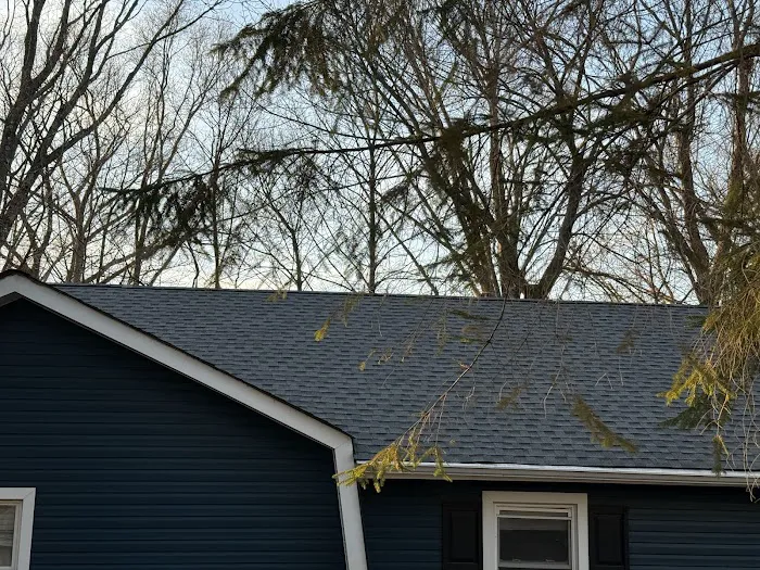 Asset Roof Repair and Replacement Picture 1