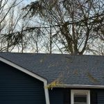 Asset Roof Repair and Replacement