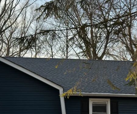 Asset Roof Repair and Replacement