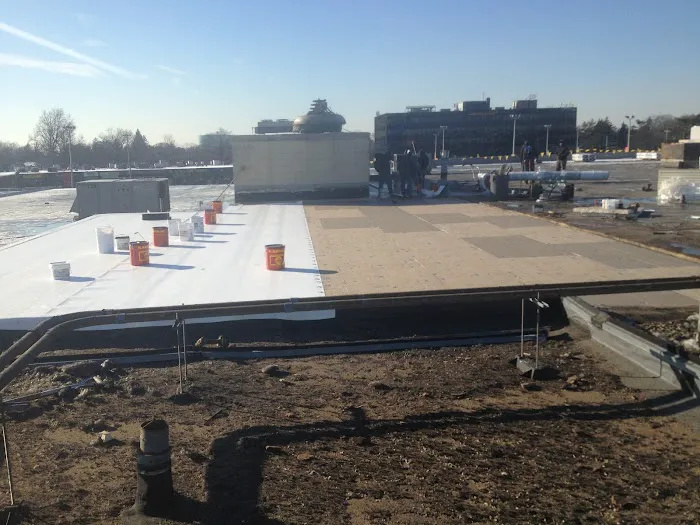 Commercial Roofing Solutions Picture 2