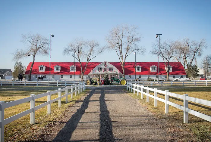 Forever Slate Roofing Picture 7