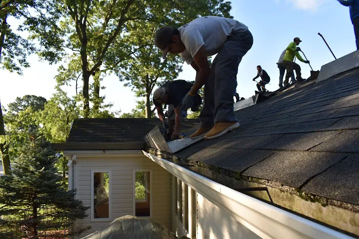 Ready Roof Picture 7