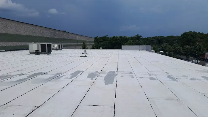 Flatroof Picture 5
