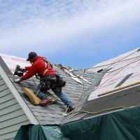 Rabbit Roofing Nassau Roofers ico