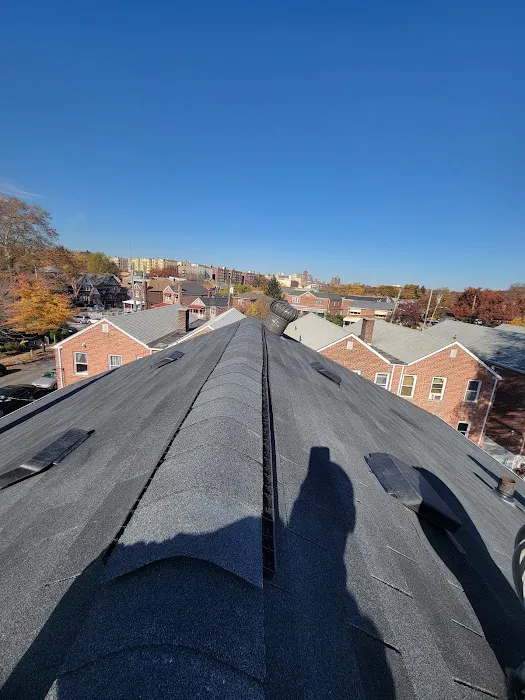 My Roof Guys Picture 4