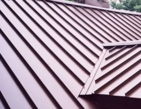 My Roof Guys Picture 6