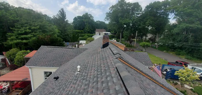 My Roof Guys Picture 5