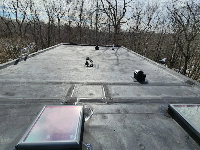 My Roof Guys Picture 7