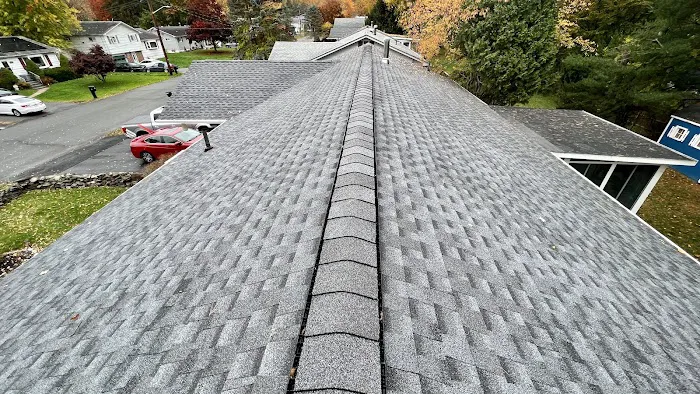 Extera Roofing Picture 4