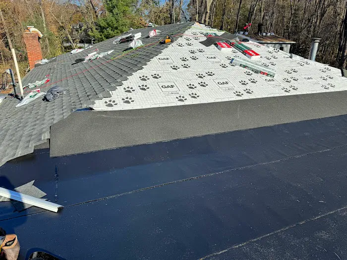 Extera Roofing Picture 10
