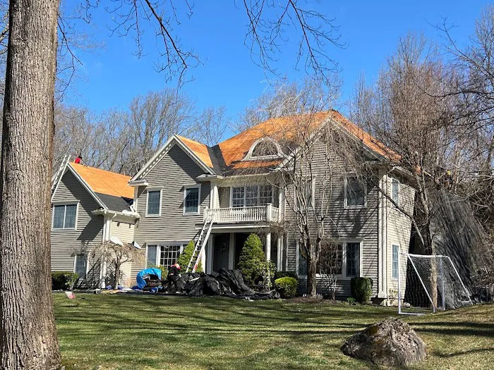 Mighty Dog Roofing Picture 1