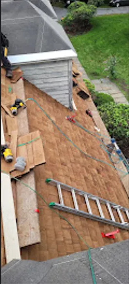 Hector r painting Picture 3