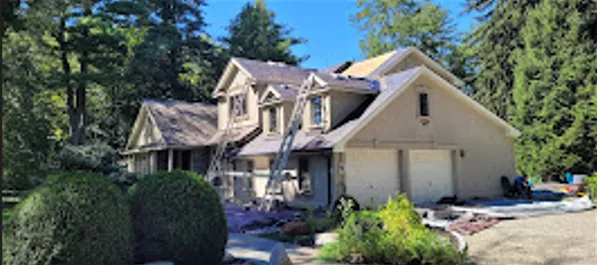 Hector r painting Picture 9