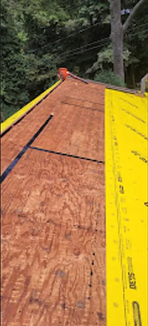 Hector r painting Picture 8