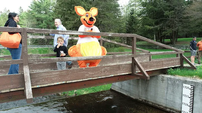 Kanga Roof Picture 9