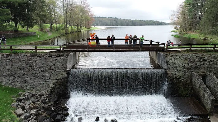 Kanga Roof Picture 5