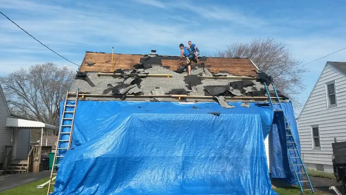 Litana LLC Picture 1