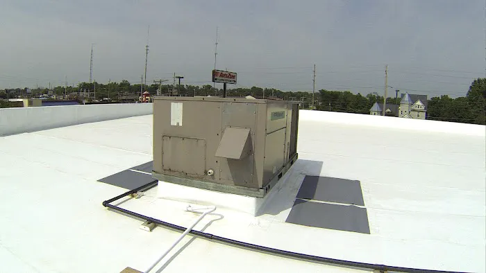 Litana LLC Picture 2