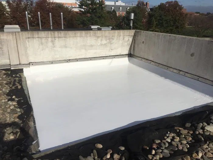 Litana LLC Picture 3