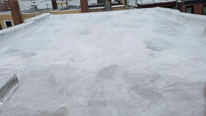 Pro Roofing Solutions Picture 4