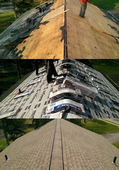 Pro Roofing Solutions Picture 5