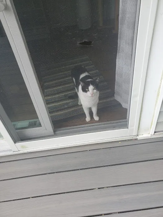 Martinez Family Roofing Picture 1