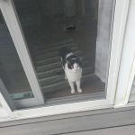 Martinez Family Roofing