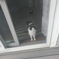 Martinez Family Roofing ico